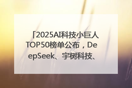 2025AI科技小巨人TOP50榜单公布，DeepSeek、宇树科技、蘑菇车联等企业荣誉上榜