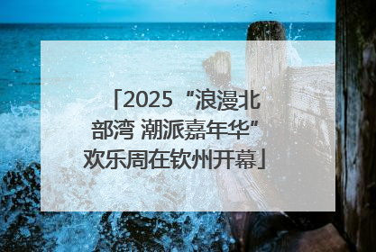 2025“浪漫北部湾 潮派嘉年华”欢乐周在钦州开幕