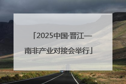 2025中国·晋江—南非产业对接会举行