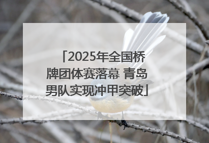 2025年全国桥牌团体赛落幕 青岛男队实现冲甲突破