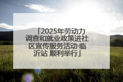 2025年劳动力调查和就业政策进社区宣传服务活动·临沂站 顺利举行
