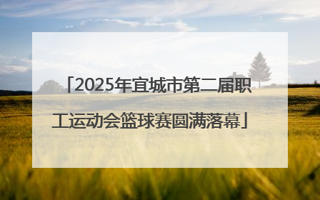 2025年宜城市第二届职工运动会篮球赛圆满落幕