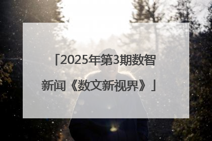 2025年第3期数智新闻《数文新视界》