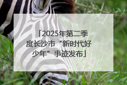 2025年第二季度长沙市“新时代好少年”事迹发布