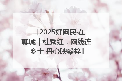 2025好网民·在聊城｜杜秀红：网线连乡土 丹心映桑梓