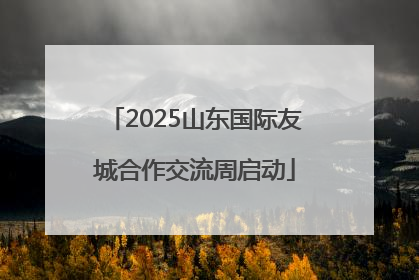 2025山东国际友城合作交流周启动