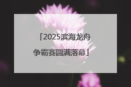 2025滨海龙舟争霸赛圆满落幕
