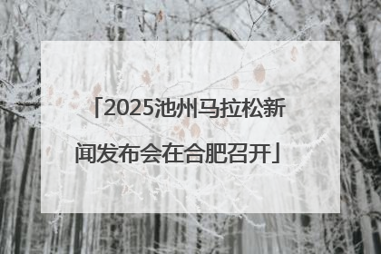 2025池州马拉松新闻发布会在合肥召开