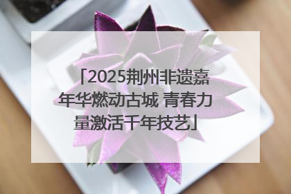 2025荆州非遗嘉年华燃动古城 青春力量激活千年技艺