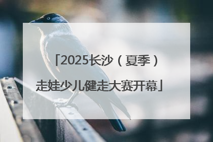 2025长沙（夏季）走娃少儿健走大赛开幕