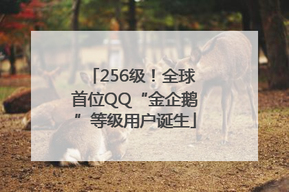 256级！全球首位QQ“金企鹅”等级用户诞生