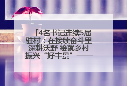 4名书记连续5届驻村：在接续奋斗里深耕沃野 绘就乡村振兴“好丰景”——浦发银行南京分行助力脱贫攻坚、帮促乡村振兴记事（二）