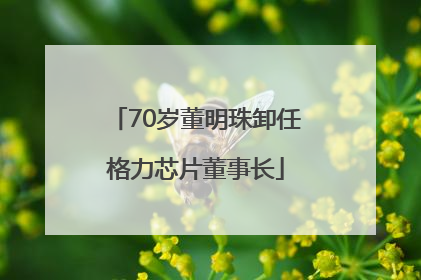 70岁董明珠卸任格力芯片董事长