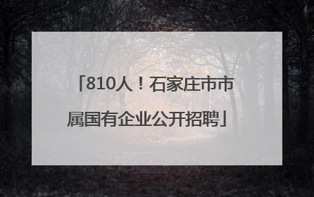 810人！石家庄市市属国有企业公开招聘