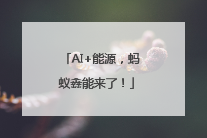AI+能源，蚂蚁鑫能来了！