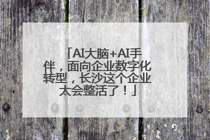 AI大脑+AI手伴，面向企业数字化转型，长沙这个企业太会整活了！