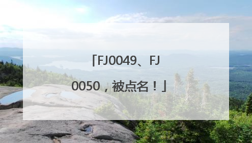 FJ0049、FJ0050，被点名！