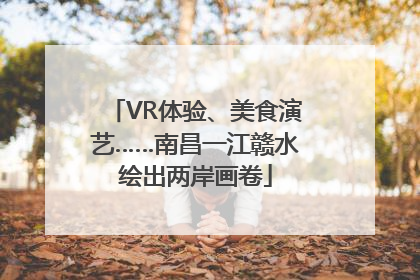 VR体验、美食演艺……南昌一江赣水绘出两岸画卷